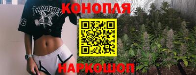 прущие крисы Моздок