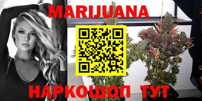 прущие крисы Моздок