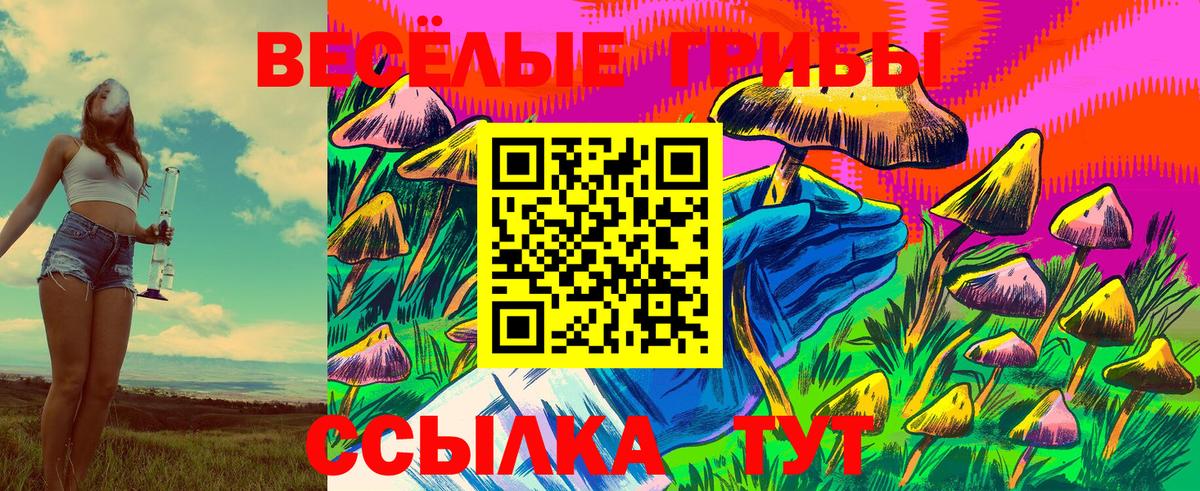 Пугачёв  Галлюциногенные грибы MAGIC MUSHROOMS  Вход с VPN  Галлюциногенные грибы мухоморы 